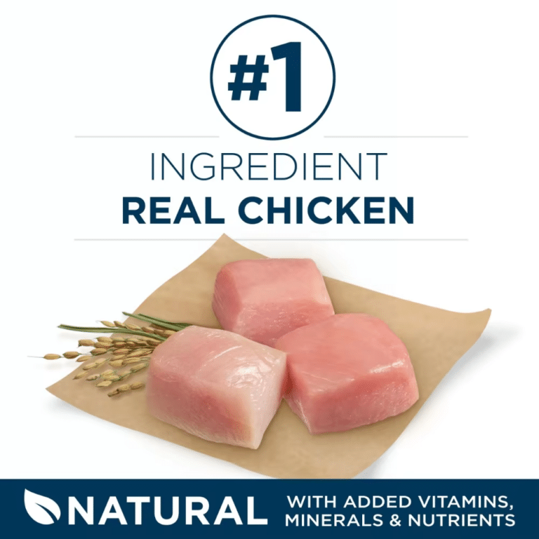 Purina One Plus Large Breed Adult Formula Real Chicken